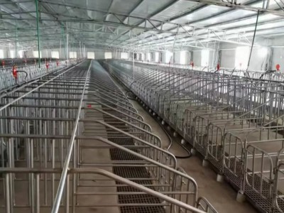 养殖场喂料设备自动喂料全自动喂料线塞盘料线绞龙料线可定制